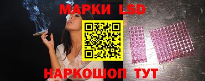 меф Гатчина
